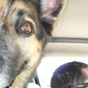 Meet your Posher, Nick